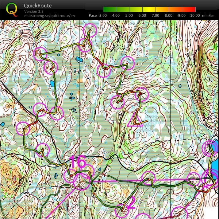 Short Middle Distance (03.08.2010)