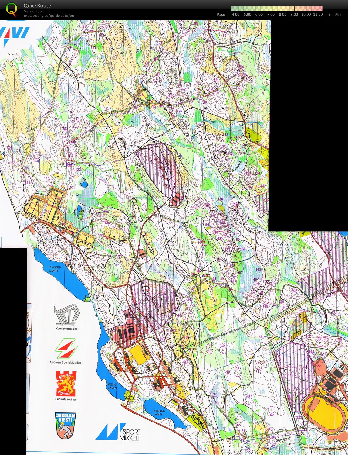 Jukola (2009-06-13)