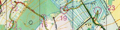 CNOC Summer Series