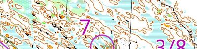 25manna finslip
