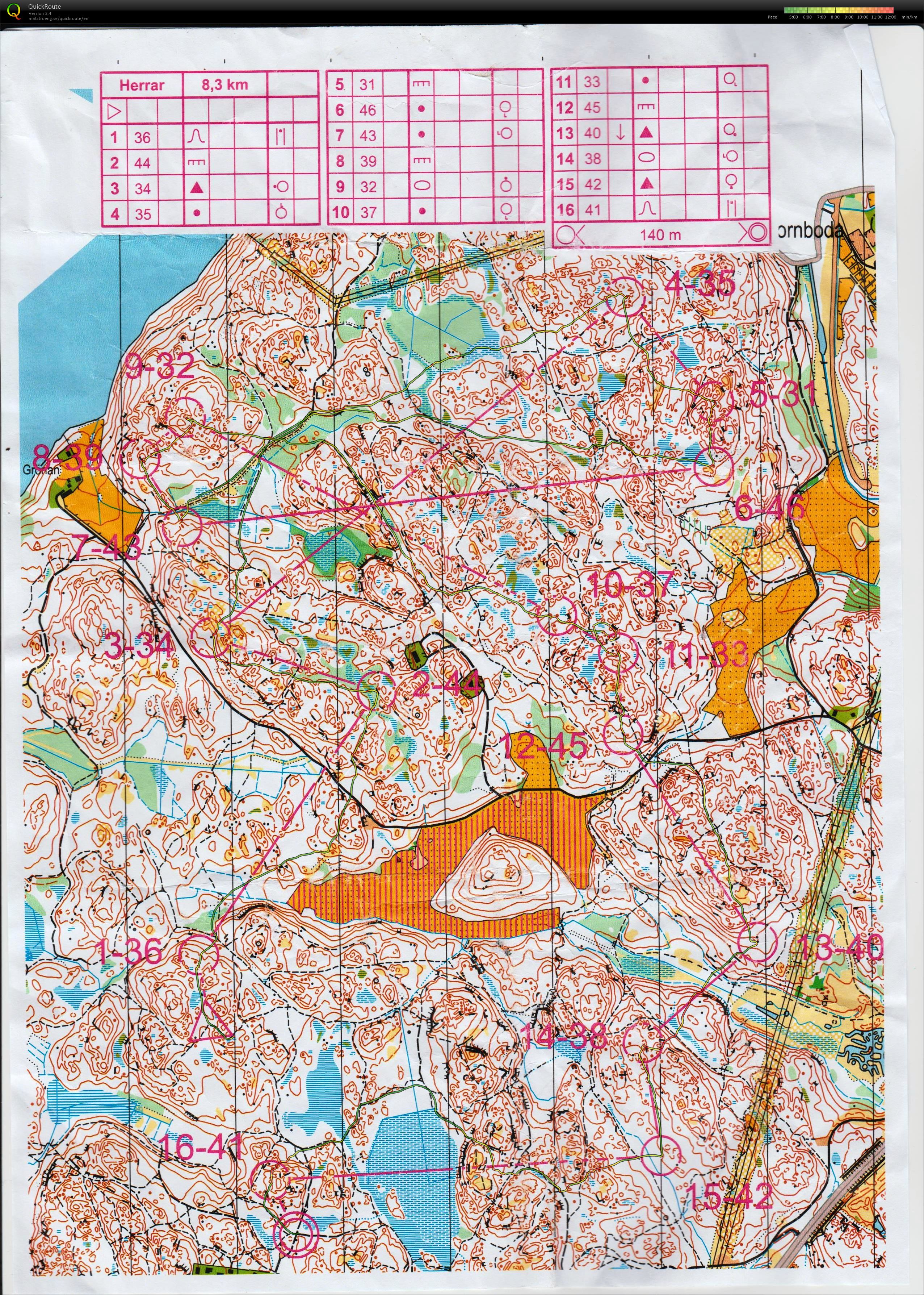 Jukola Test (11.06.2017)
