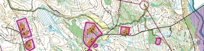 Jukola 2017 leg 6