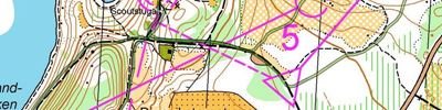 WOC Relay simulation