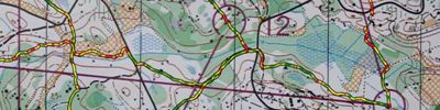 Jukola Training 2